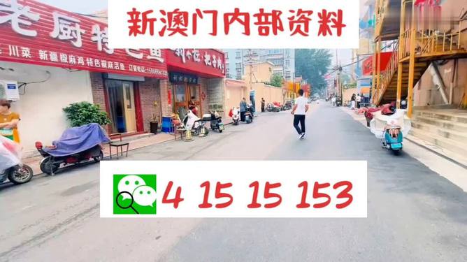2025年新澳门和香港天天开好彩,全面释义、解释与落实