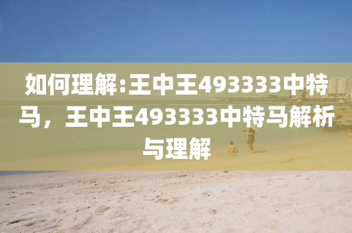 王中王493333中特马诗,全面释义、解释与落实