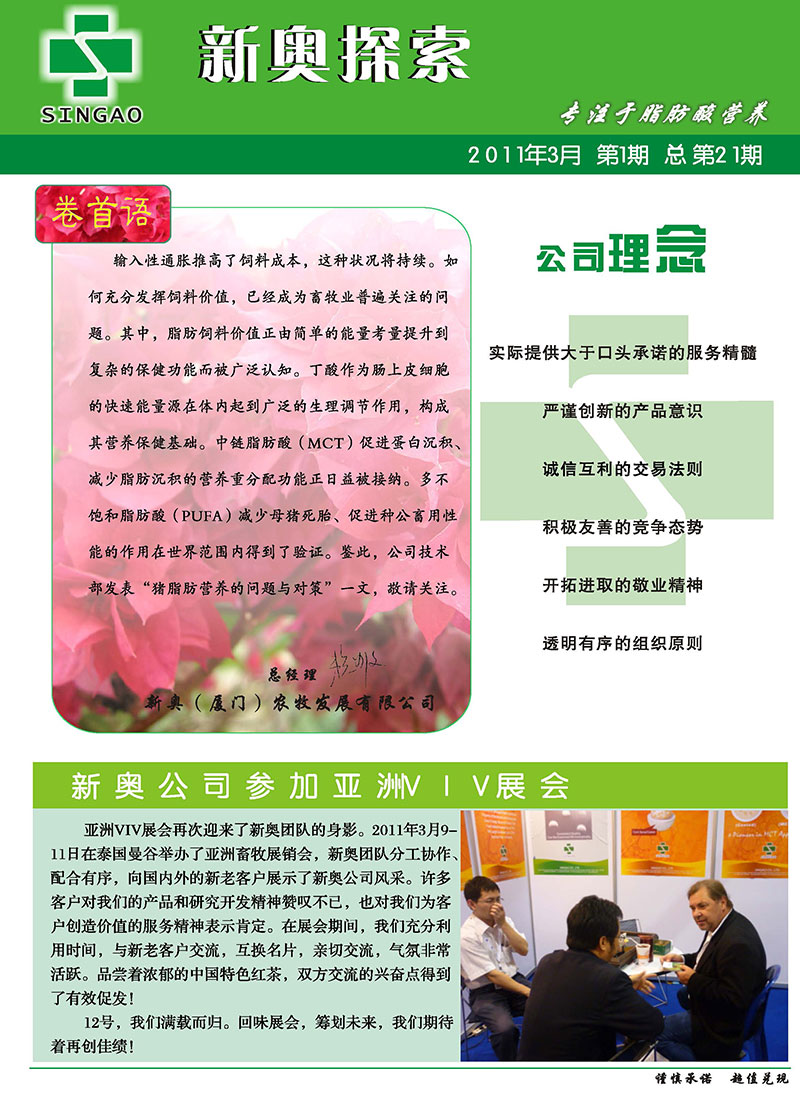 新澳2025年正版资料,全面释义、解释与落实