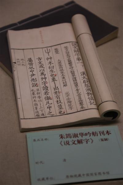 最准一肖一码一孑一特一中,全面释义、解释与落实