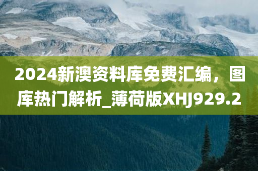 王中王493333WWW马头诗,全面释义、解释与落实