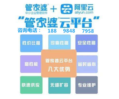 澳门管家婆100%精准准确,全面释义、解释与落实