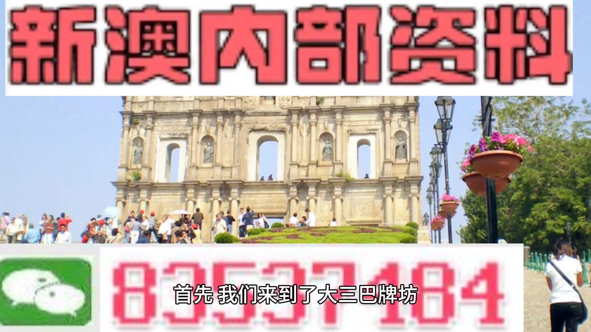新澳门和香港免费精准大全，详细解答、解释与落实