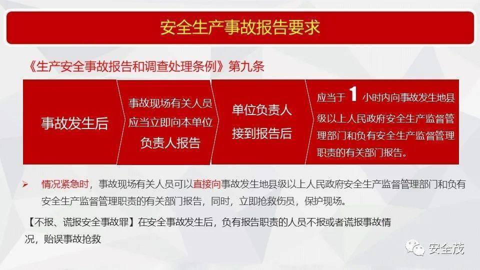 资讯 第7页