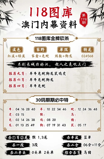 2025澳门和香港特马网站www,全面解答、解释与落实