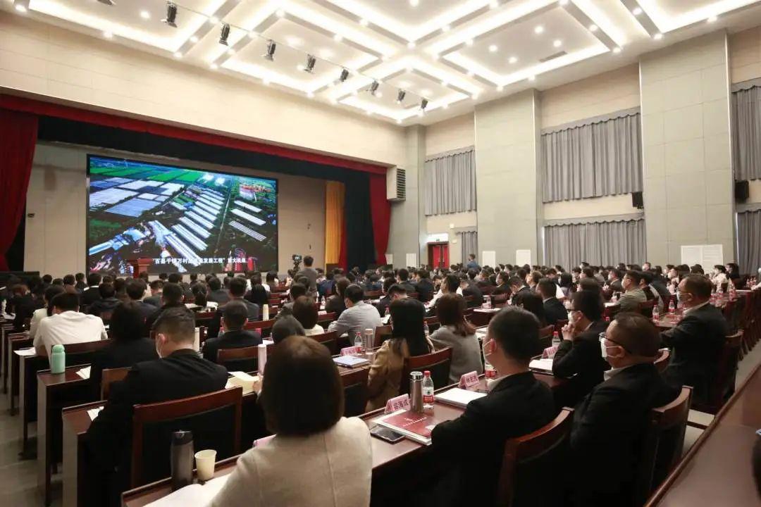 2025新澳门天天精准免费大全的全面释义、解释与落实