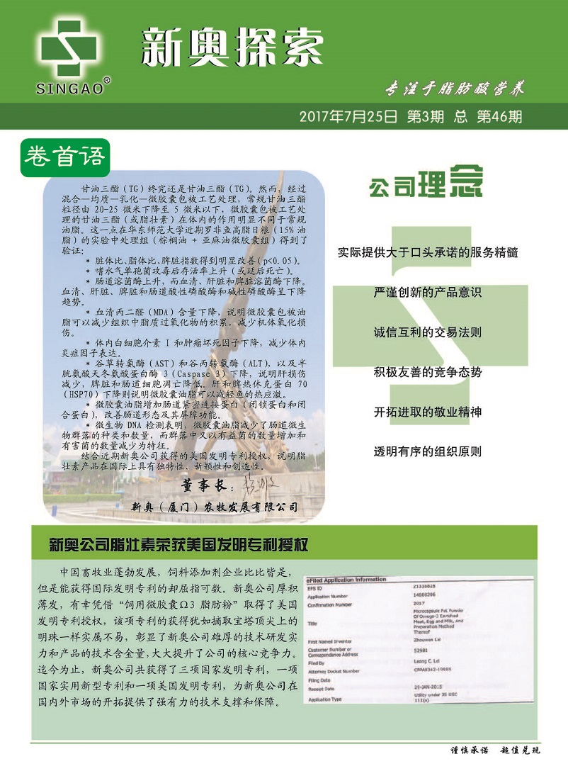 2025精准资料免费提供,全面释义、解释与落实